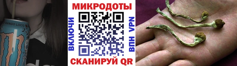 ссылка на мегу сайт  Щучье  Галлюциногенные грибы Psilocybine cubensis  закладка 